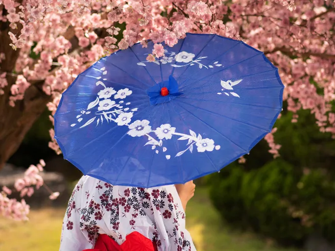 Giappone, prezzi più alti per i turisti fanno discutere