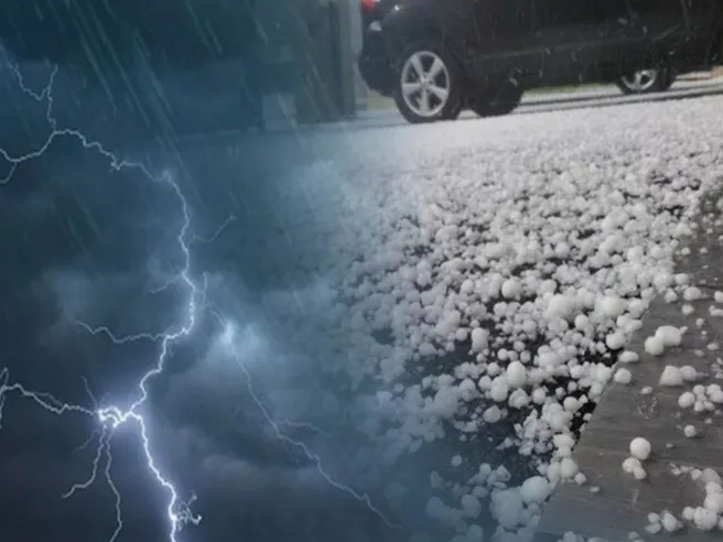 Danni da grandine e alberi: quale assicurazione copre?