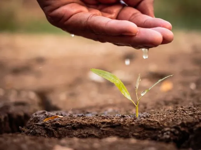 PIL, l’insospettabile alleato del clima: crescita e green devono coniugarsi