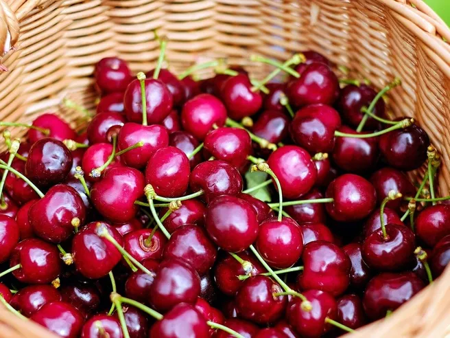 Prezzi record per le ciliegie: perché costano così tanto?
