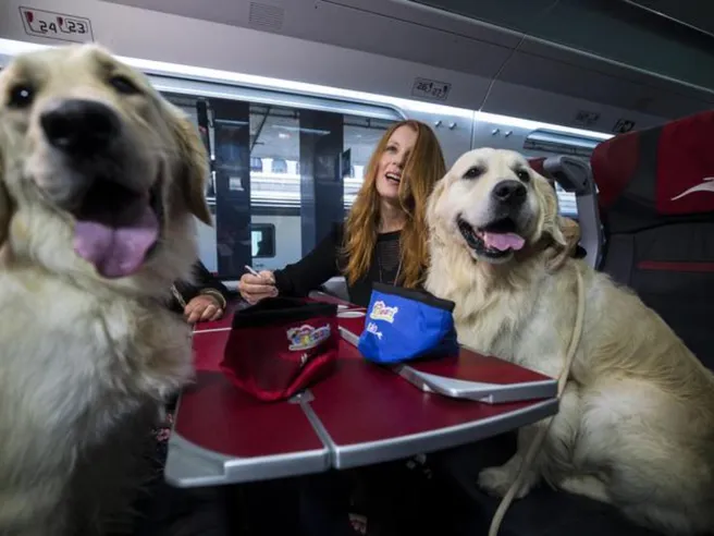 Promozione Trenitalia, i cani viaggiano gratis: ecco fino a quando