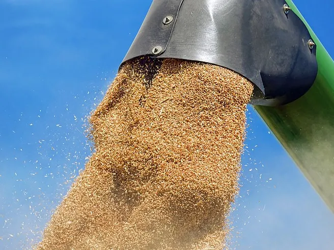Emergenza cibo: 750 milioni di persone a rischio fame secondo la FAO. L’impatto sui Paesi più colpiti