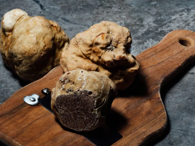 Tartufi, nuova guida fiscale: cosa cambia per raccoglitori occasionali e professionisti