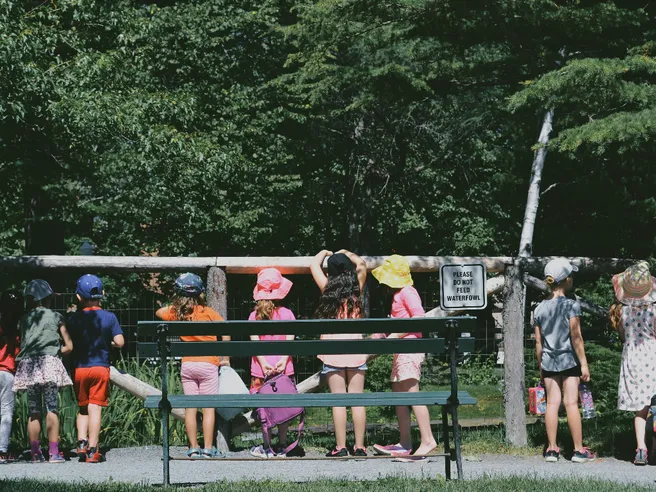 Centri estivi sempre più cari: servono 1.400 € per figlio