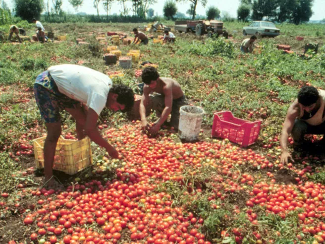 Lavoro nero: il Governo intensifica i controlli nel 2025
