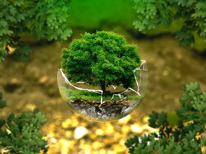 Green Bond da record: doppia spinta da Recovery Fund e idrogeno verde