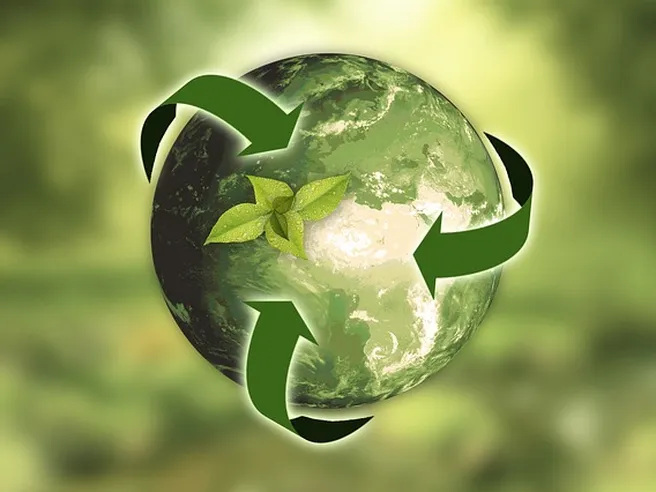 Futuro sempre più verde: 70% delle imprese prevede un piano di sostenibilità