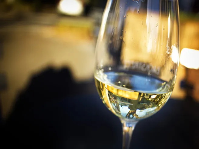 Vino: al via la vendemmia, previsto aumento fino al 20%. Si aprono 25mila posti di lavoro occasionali