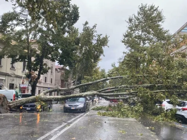 Danni da maltempo: cosa fare per essere rimborsati