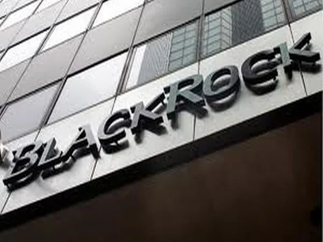 Fink (BlackRock): transizione green porterà fino al 25% di PIL in vent’anni
