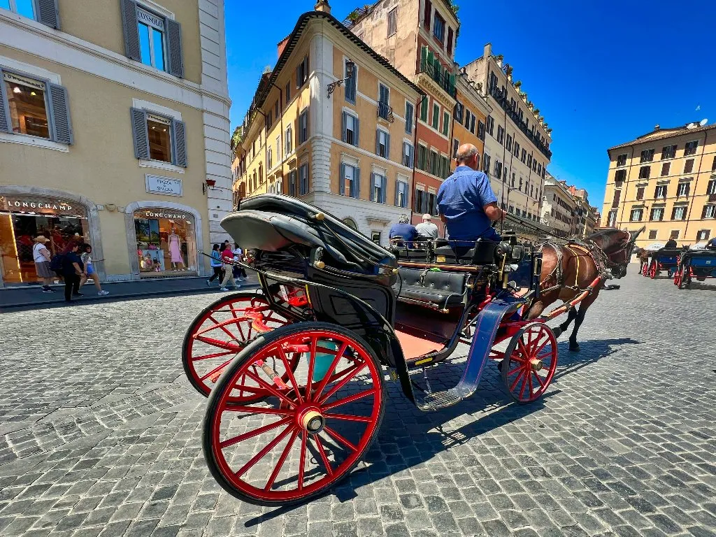 Carrozze con cavalli: tradizione in calo nelle città