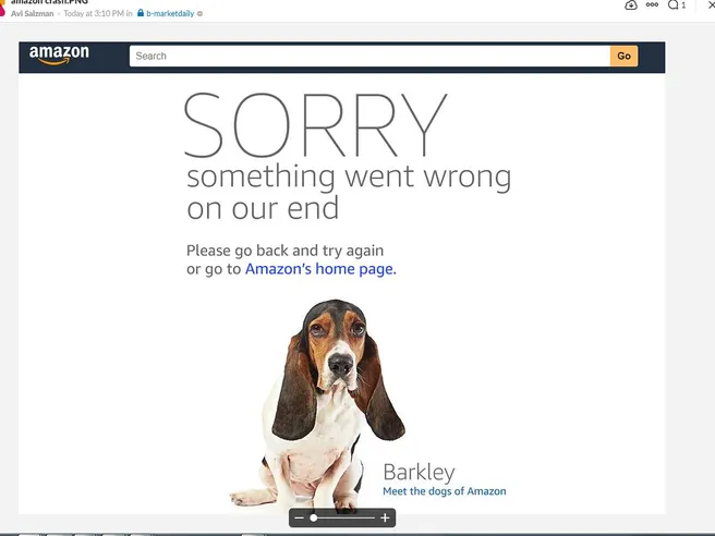 Sito di Amazon fa crash all’inizio del Prime Day. Proteste sui social, ma sarà record di vendite
